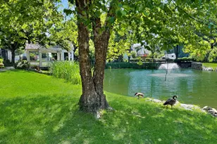 4600 King Duncan Rd, Alexandria, VA 22312 - Photo 5