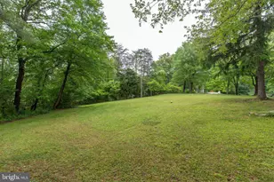 10535 Brevity Dr, Great Falls, VA 22066 - Photo 37