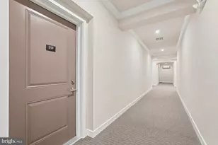 4399 Peach Lily Ln, Chantilly, VA 20151 - Photo 35