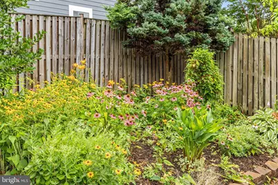 1603 Simmons Drive, McLean, VA 22101 - Photo 49
