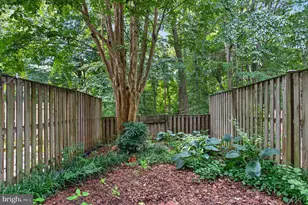 6313 Sunset Terrace, Springfield, VA 22153 - Photo 25