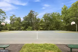 6015 Chestnut Hollow Ct, Centreville, VA 20121 - Photo 47