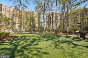 5902 Mt Eagle Dr, Alexandria, VA 22303 - Photo 85