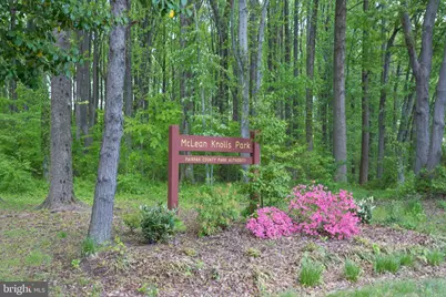 7845 Old Dominion Drive, McLean, VA 22102 - Photo 79