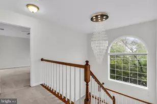 6618 Frost Lake Ln, Alexandria, VA 22315 - Photo 19