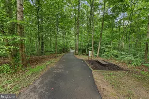 7315 Golden Horseshoe Ct, Springfield, VA 22153 - Photo 43