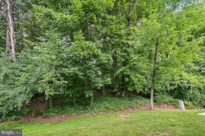 8429 Carmela Circle, Springfield, VA 22153 - Photo 53