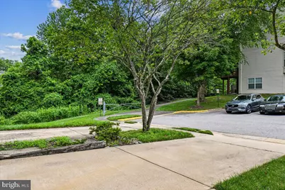 8429 Carmela Circle, Springfield, VA 22153 - Photo 51