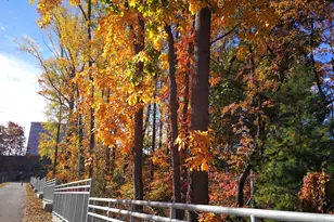 1808 Old Meadow Rd, McLean, VA 22102 - Photo 13