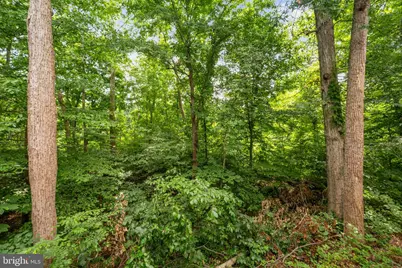 9150 Stonegarden Drive, Lorton, VA 22079 - Photo 39