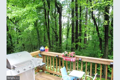 3913 Moss Drive, Annandale, VA 22003 - Photo 21