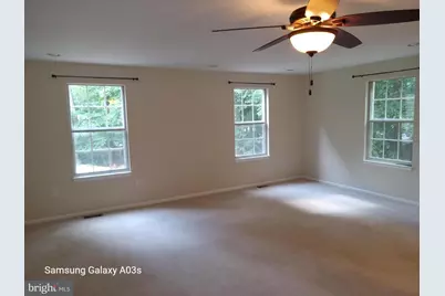 6398 Shaundale Drive, Springfield, VA 22152 - Photo 5