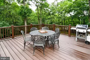 12134 Holly Knoll Cir, Great Falls, VA 22066 - Photo 11