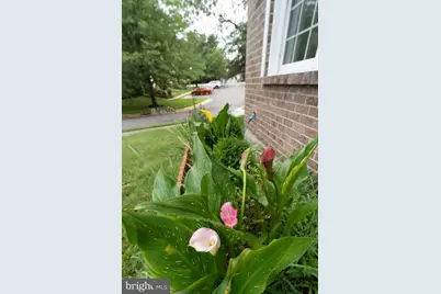 5514 Whitfield Court, Fairfax, VA 22032 - Photo 39