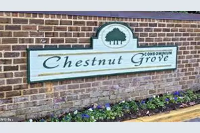 11232 Chestnut Grove Square #135, Reston, VA 20190 - Photo 3