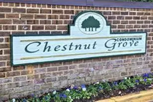 11232 Chestnut Grove Square, Reston, VA 20190 - Photo 3