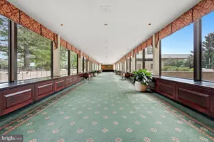 3701 S George Mason Dr, Falls Church, VA 22041 - Photo 5