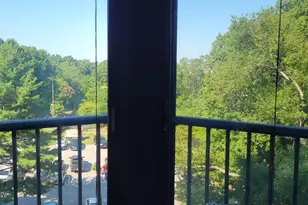 5901 Mt Eagle Dr, Alexandria, VA 22303 - Photo 5