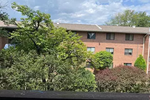 7600 Savannah St, Falls Church, VA 22043 - Photo 3