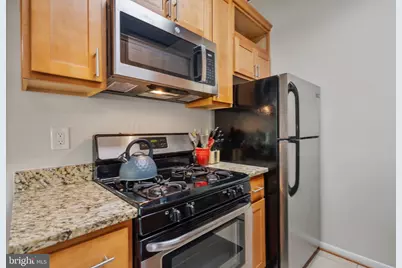 4907 Americana Drive #4907H (202), Annandale, VA 22003 - Photo 11