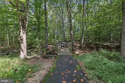 7730 Brandeis Way, Springfield, VA 22153 - Photo 33