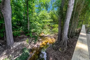 8005 Candlewood Dr, Alexandria, VA 22306 - Photo 59
