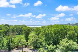 6621 Wakefield Dr, Alexandria, VA 22307 - Photo 35