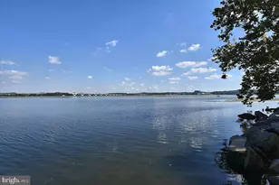 1208 Shenandoah Rd, Alexandria, VA 22308 - Photo 45