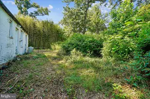 1208 Shenandoah Rd, Alexandria, VA 22308 - Photo 19