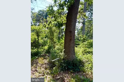 1208 Shenandoah Road, Alexandria, VA 22308 - Photo 27