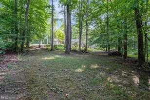 7430 Clifton Rd, Clifton, VA 20124 - Photo 83