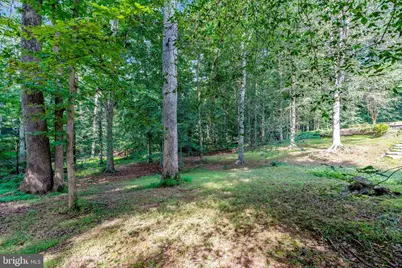 7430 Clifton Road, Clifton, VA 20124 - Photo 87