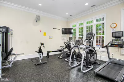 8406 Mountain Larkspur Dr Drive, Lorton, VA 22079 - Photo 63