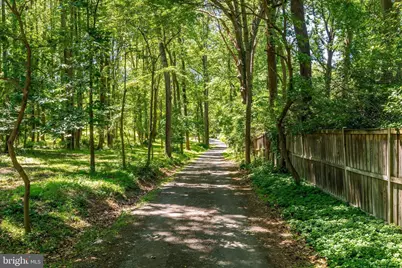 518 Goldsmith Lane, Great Falls, VA 22066 - Photo 23