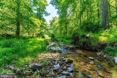 518 Goldsmith Lane, Great Falls, VA 22066 - Photo 29