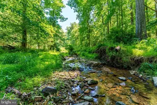 518 Goldsmith Ln, Great Falls, VA 22066 - Photo 29