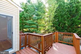 6123 Joust Ln, Alexandria, VA 22315 - Photo 5