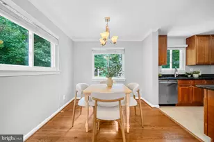 7407 Marc Dr, Falls Church, VA 22042 - Photo 15