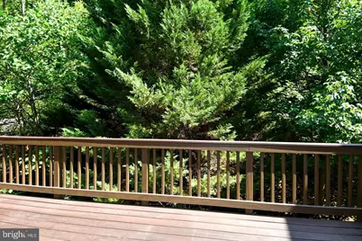 7810 Locust Leaf Lane, Alexandria, VA 22315 - Photo 41