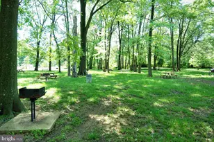 6631 Wakefield Dr, Alexandria, VA 22307 - Photo 35
