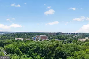 3705 S George Mason Dr, Falls Church, VA 22041 - Photo 3