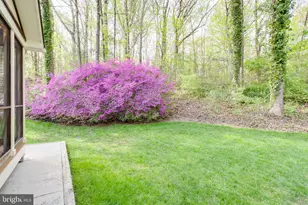 5836 Canvasback Rd, Burke, VA 22015 - Photo 19