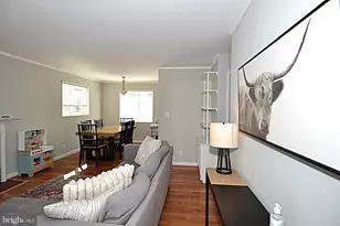 7025 Strathmore St, Falls Church, VA 22042 - Photo 5