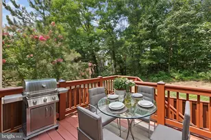 5556 Jowett Ct, Alexandria, VA 22315 - Photo 37