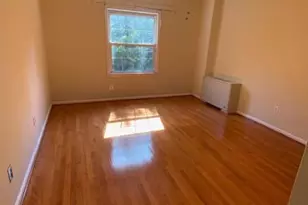 3336 Spring Ln, Falls Church, VA 22041 - Photo 15