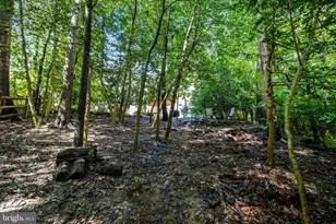 10910 Wilder Point Ln, Reston, VA 20191 - Photo 53