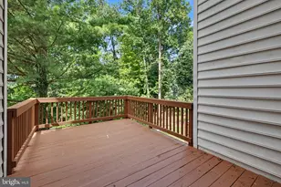 5438 Summer Leaf Ln, Alexandria, VA 22312 - Photo 43