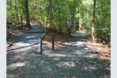 5904 Mount Eagle Drive #1609, Alexandria, VA 22303 - Photo 51