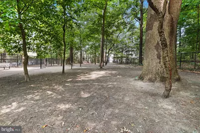 5904 Mount Eagle Drive #1214, Alexandria, VA 22303 - Photo 101