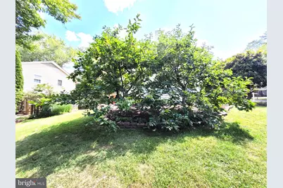3911 Shelley Lane, Annandale, VA 22003 - Photo 83